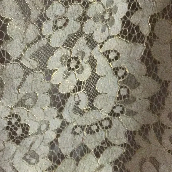 Joie Women’s Lace Pull On Skirt Cream Ivory Metallic L - Picture 4 of 10